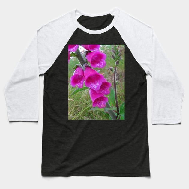 Foxglove (Digitalis) Baseball T-Shirt by RedHillDigital